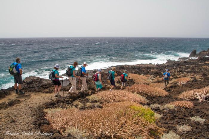 Piso Nuevo En El Puertito De Gueimar Al Lado Del Mar Realizamos Servicio De Excursiones Con Guia Puertito de Guimar Ngoại thất bức ảnh